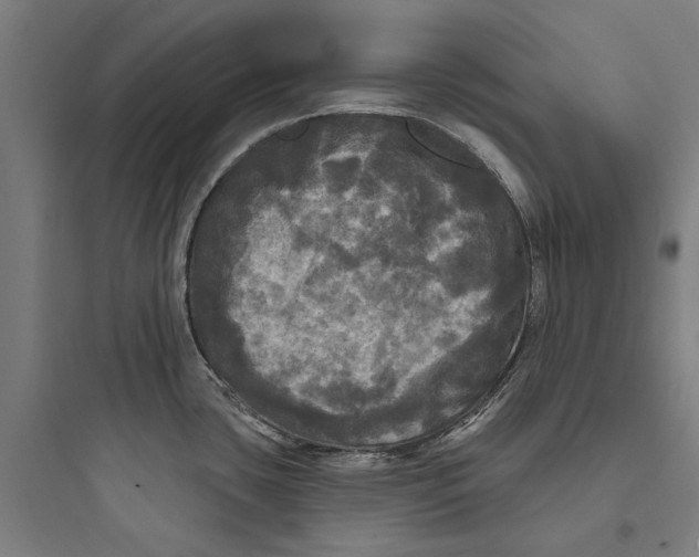 X0000093741435200711061013