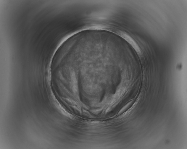 X0000093741436200711061013