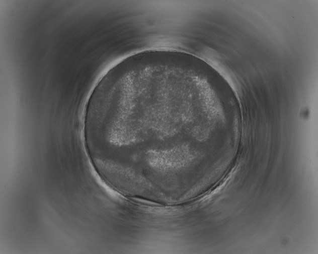 X0000093741437200711061013