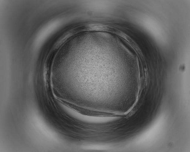 X0000093741438200711061013