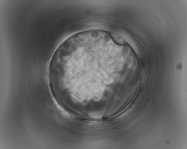 X0000093741439200711061013