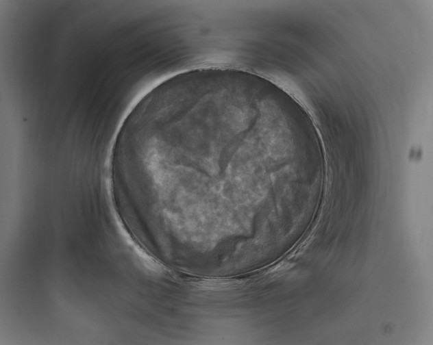 X0000093741440200711061013