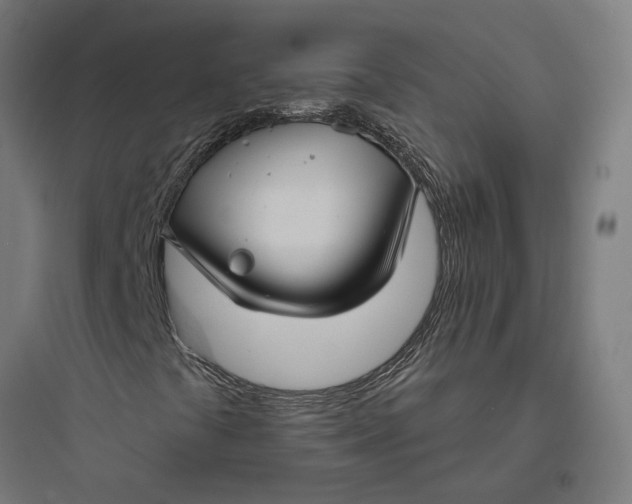 X0000093741441200711061013