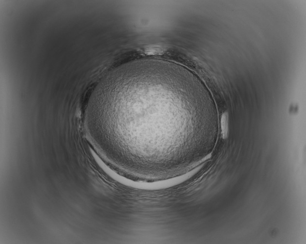 X0000093741443200711061013