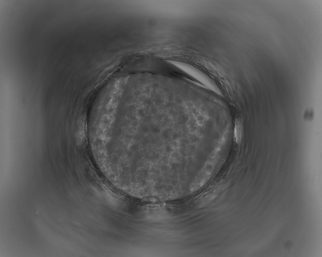 X0000093741444200711061013