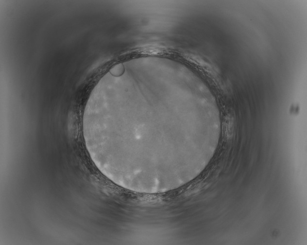 X0000093741446200711061013