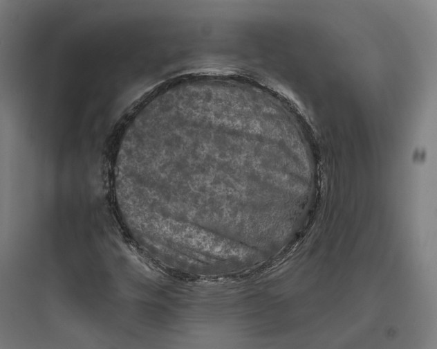 X0000093741448200711061013