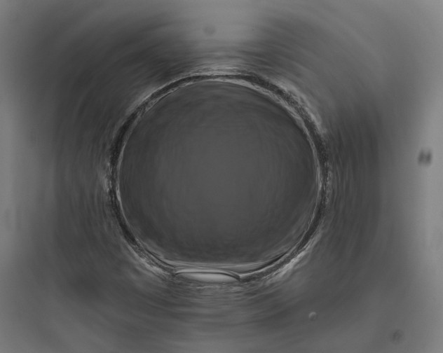 X0000093741449200711061013