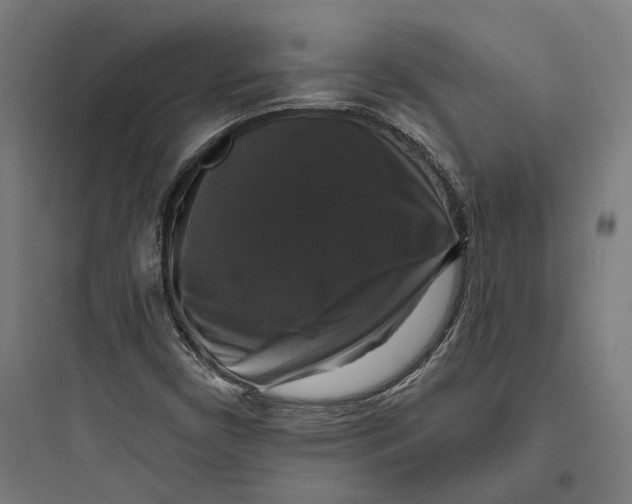 X0000093741450200711061013