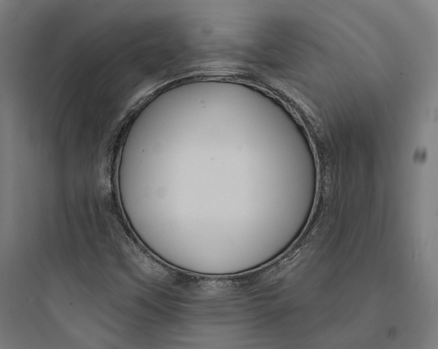 X0000093741451200711061013