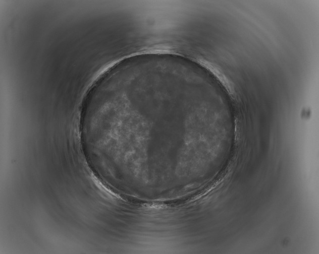 X0000093741452200711061013