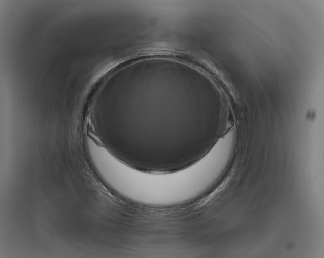 X0000093741453200711061013