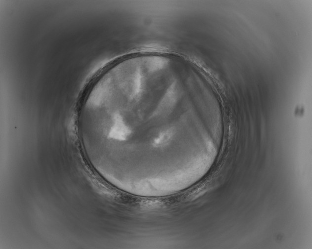 X0000093741454200711061012