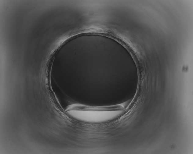 X0000093741455200711061012