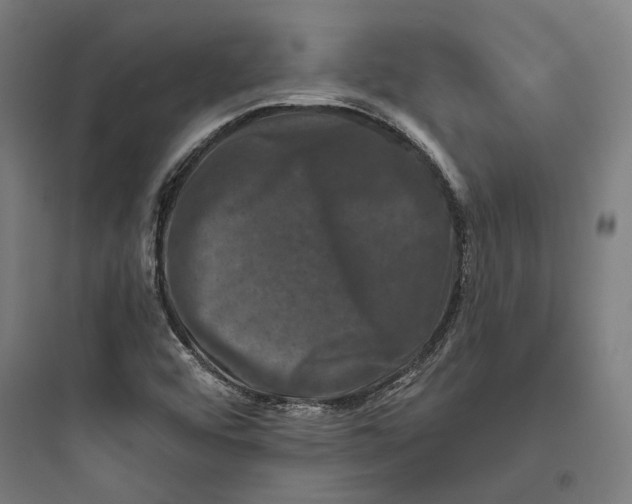 X0000093741456200711061012