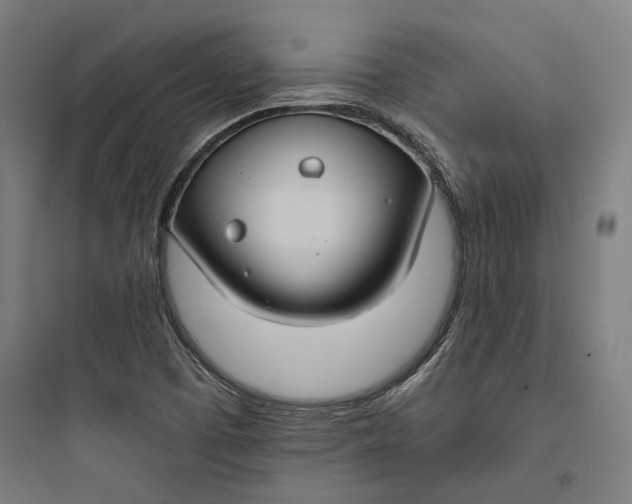 X0000093741457200711061012