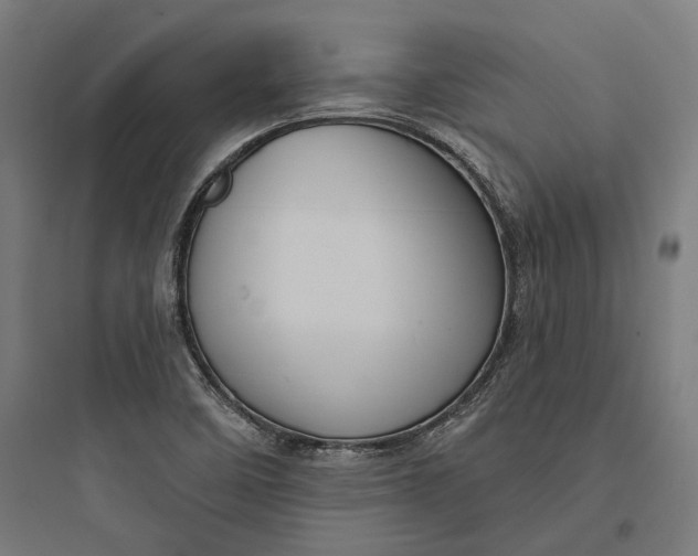 X0000093741458200711061012