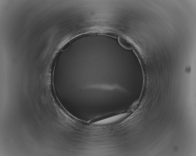 X0000093741459200711061012