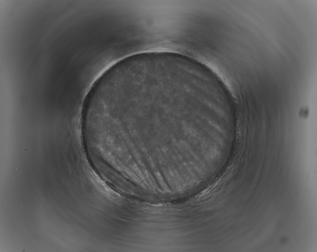 X0000093741460200711061012