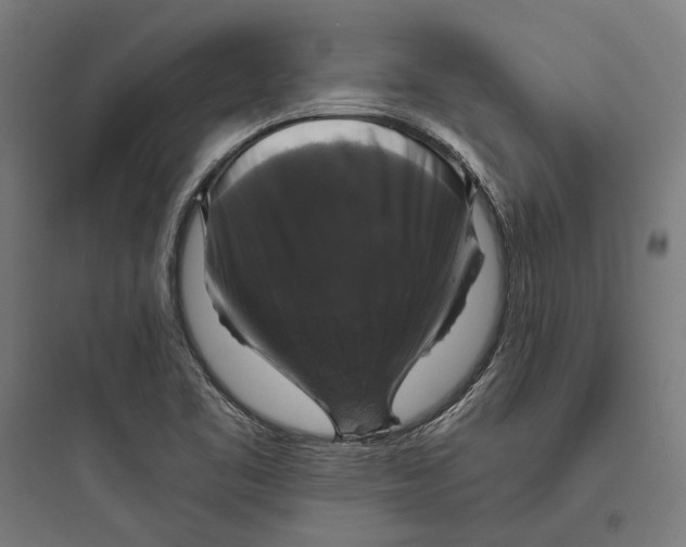 X0000093741461200711061012