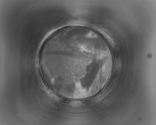 X0000093741462200711061012