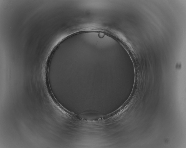 X0000093741463200711061012