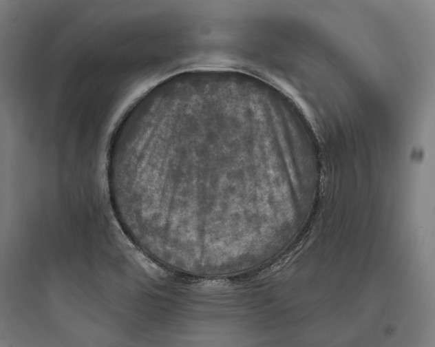 X0000093741464200711061012