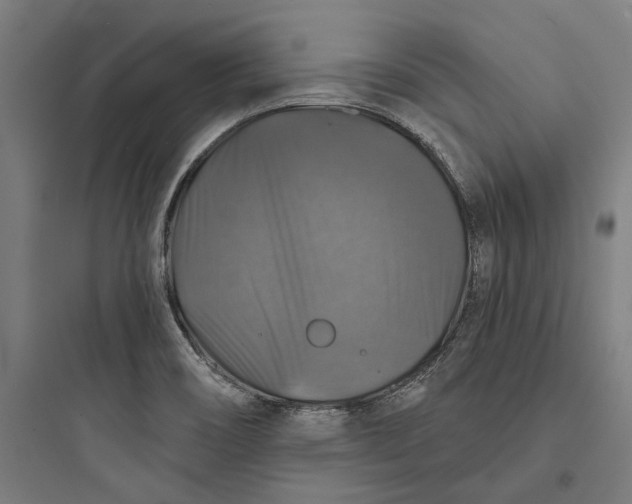 X0000093741466200711061012