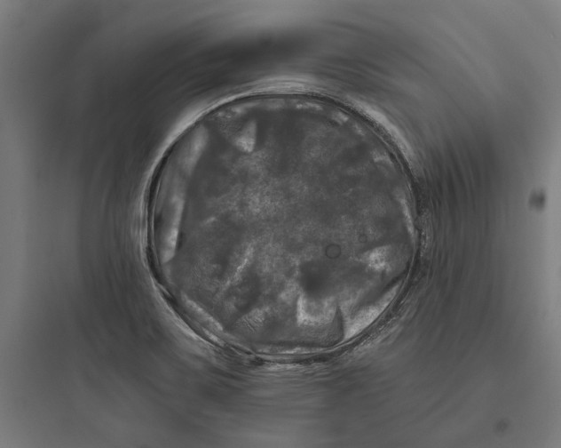 X0000093741467200711061012