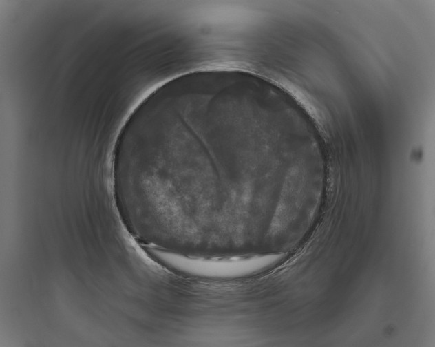 X0000093741468200711061012