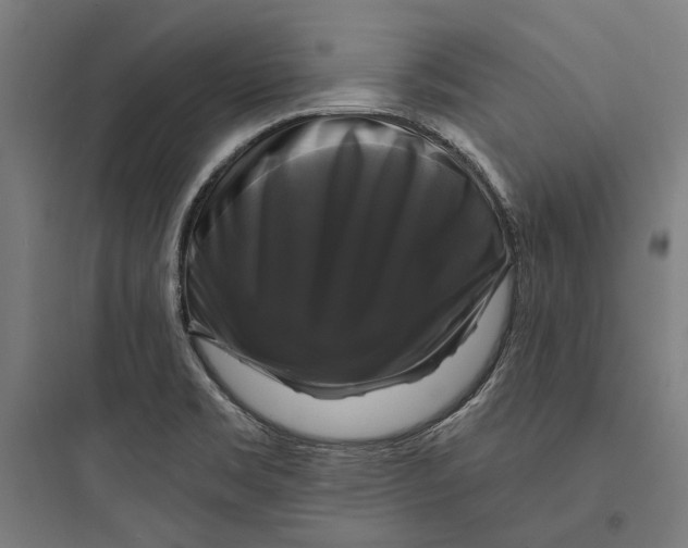 X0000093741469200711061012