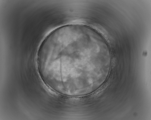 X0000093741470200711061012