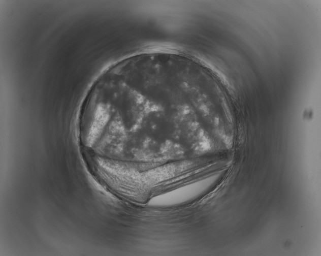 X0000093741471200711061012