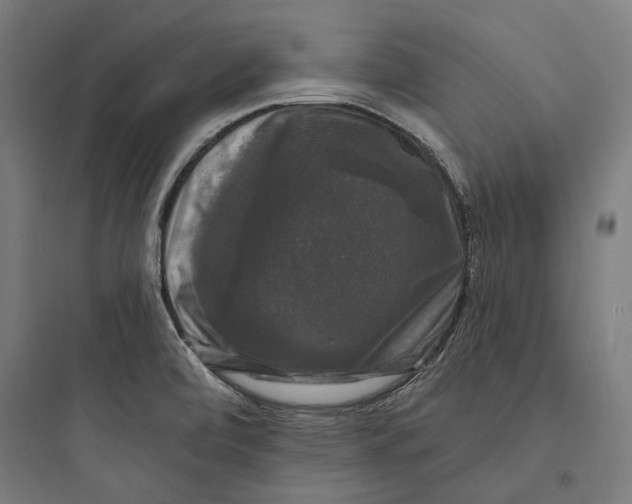 X0000093741472200711061012