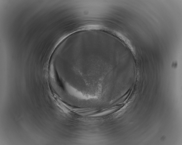 X0000093741473200711061012