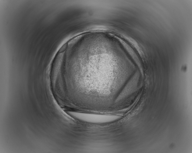 X0000093741475200711061012