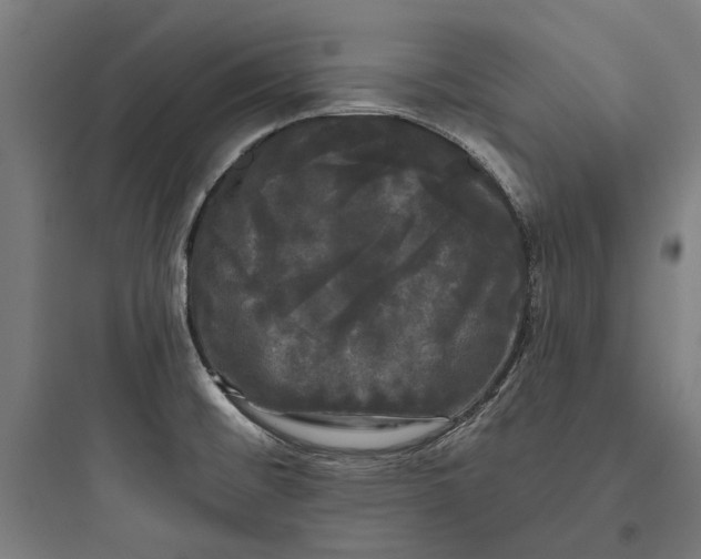 X0000093741476200711061012