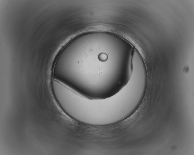 X0000093741477200711061012