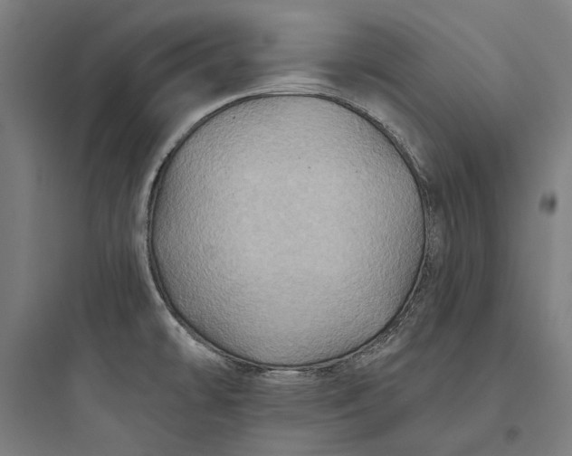 X0000093741478200711061012