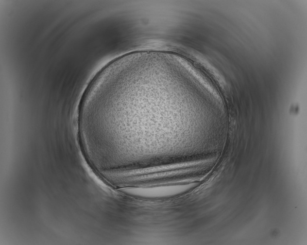 X0000093741479200711061012