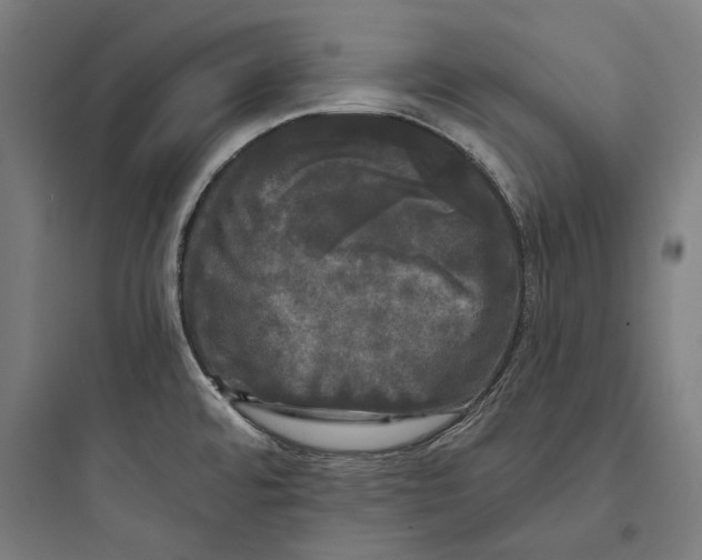 X0000093741480200711061012