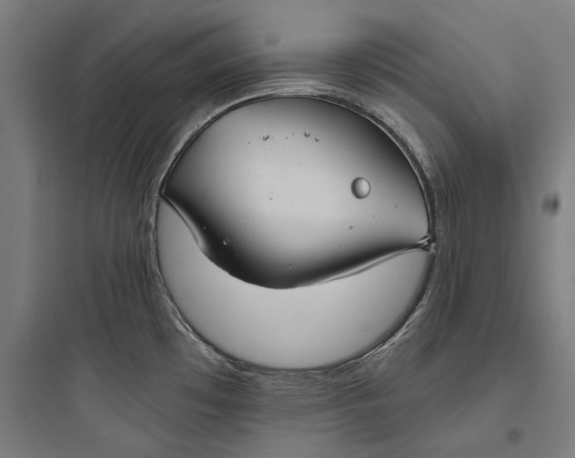 X0000093741481200711061012