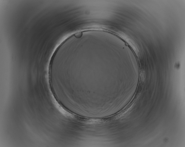 X0000093741482200711061012