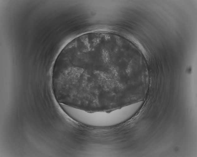 X0000093741483200711061012