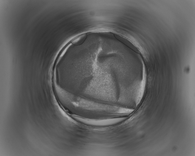 X0000093741484200711061012