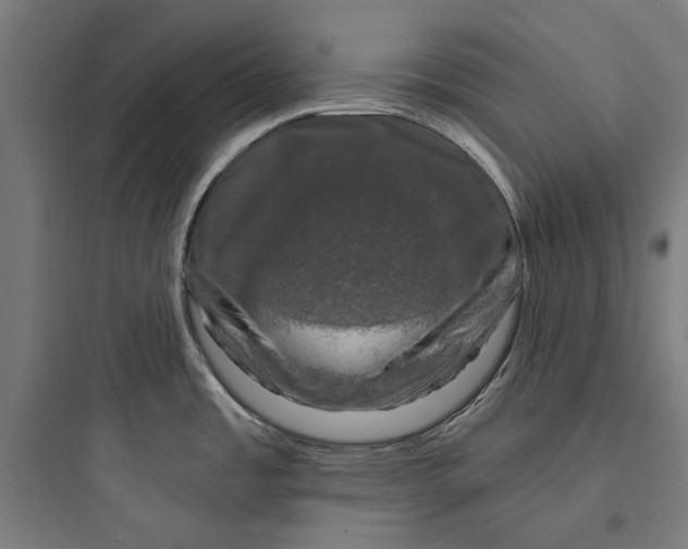 X0000093741485200711061012