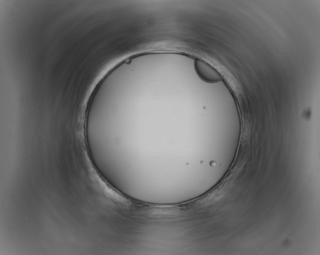 X0000093741486200711061012