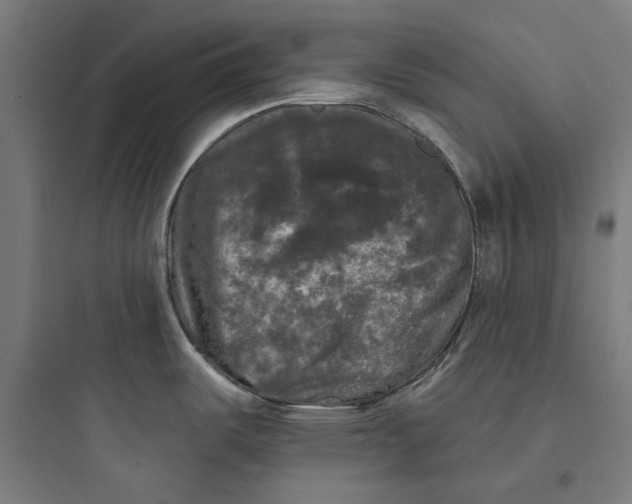 X0000093741487200711061012