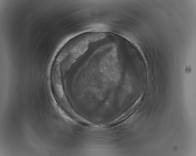 X0000093741488200711061012