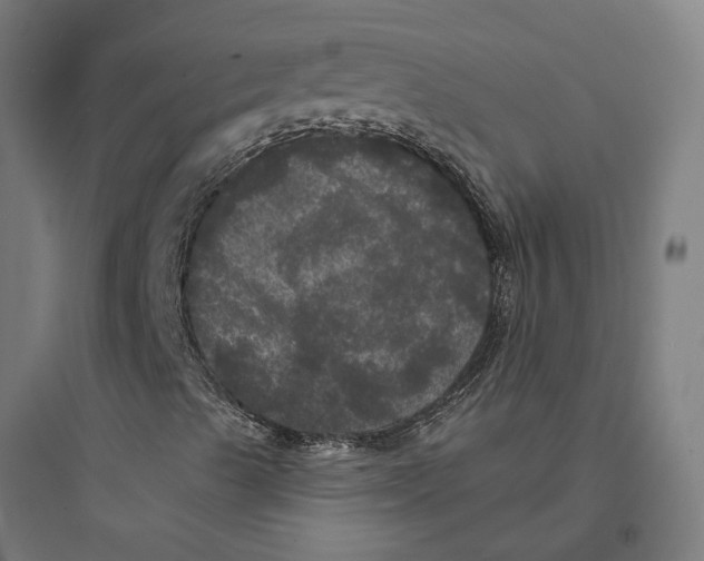 X0000093741489200711061011